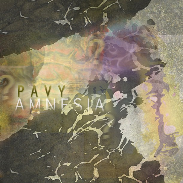 Pavy Amnesia Artwork